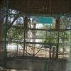 Eclectus Parrot cage at Vandalur Zoo-Chennai