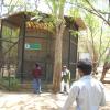 Visitors at Vandalur Zoo in Chennai...