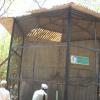 Huge cage for Great pied Hornbill in Vandalur-Chennai