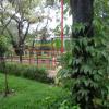 Inner view of Sivan park at K.K.nagar,Chennai...