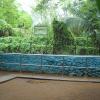 Guindy National Park inner view - Chennai...