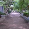 Walkways to Guindy Children's Park in Chennai...