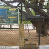 A cage for Striped Hyaena at Guindy National Park in Chennai...