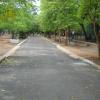 Straight walkway at Guindy Children's Park in Chennai...