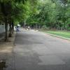 Way to Guindy National Park in Chennai...