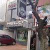 Helios - Watch Shop, Anna Nagar - Chennai