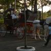 Queen's Chariot at Queensland in Chennai...