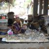 A fisher woman at Tiruvottiyur Fish market in Chennai...