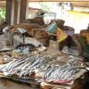 A fish stall at Tiruvotiyur fish market in Chennai...
