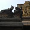 Nandi sculpture view at Thiyagarajaswamy temple at Tiruvottiyur in Chennai...