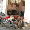 Two wheeler workshop at Tiruvottiyur in Chennai...