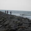 Visitors walking on the sea stone at Tiruvottiyur kuppam in Chennai...