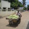 Vegetable seller at street in Pammal, Chennai...