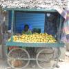 Mango seller at Pozhichalur in Chennai...
