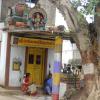 Sree Periya Palaiyathamman temple at West Jafferkhanpet in Chennai...