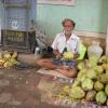 Green Coconut vendor at Besant Nagar in Chennai...