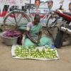 Roadside Guava seller at Kolathur in Chennai