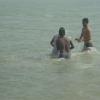Pulicat Lake near Chennai