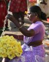 Lady selling Flowers near Temple at Mylapore, Chennai
