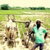 Farmer on a hot day near Chidambaram