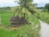 Small hut in middle of a paddy field