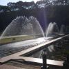 Water Fountains in the Brindavan Garden