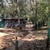 The Chikmagalur Bhadra Wildlife Sanctuary's Lodges are in Nature