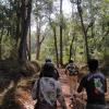 In the forest of the Bhadra Wildlife Sanctuary
