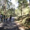 Walking on Roads at the Bhadra Wildlife Sanctuary