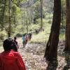 Trekking at Bhadra Wildlife Sanctuary