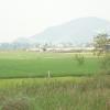 View of Hill with Green Field, Chittoor