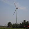 A wind farm - Coimbatore.