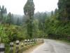 Curved road on a Hill - Darjeeling