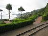 Greenery on the side of toy train track - Darjeeling