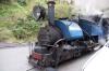 Toy Train at Darjeeling