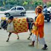 Delhi -Decorated Sacred Cow