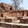 Damaged Walls in Firoz Shah Kotla Fort, Delhi