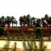 A Rare View of Akshardham Temple Area, Delhi