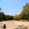 Strict Check By Delhi Police in Delhi Zoo
