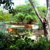 Swamp Deer in Delhi Zoo