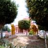 Big Cats At The Gate of Baba Nagpal Sabhagar, Chattarpur
