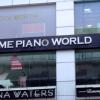 Theme Piano World, Lajpat Nagar, New Delhi