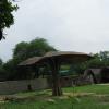 Mushroom shade in Delhi Zoo