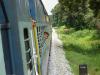 Train going through the Devarayi Greenery