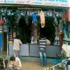 spare parts shop in Dewas