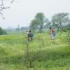 Applying Insecticide in Dhar