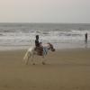 Beach in Old Digha