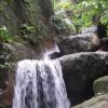 Waterfall Near Dindigul, Tamilnadu