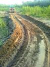 Mud Road - Dinhata