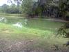 Small Pond at Dinhata